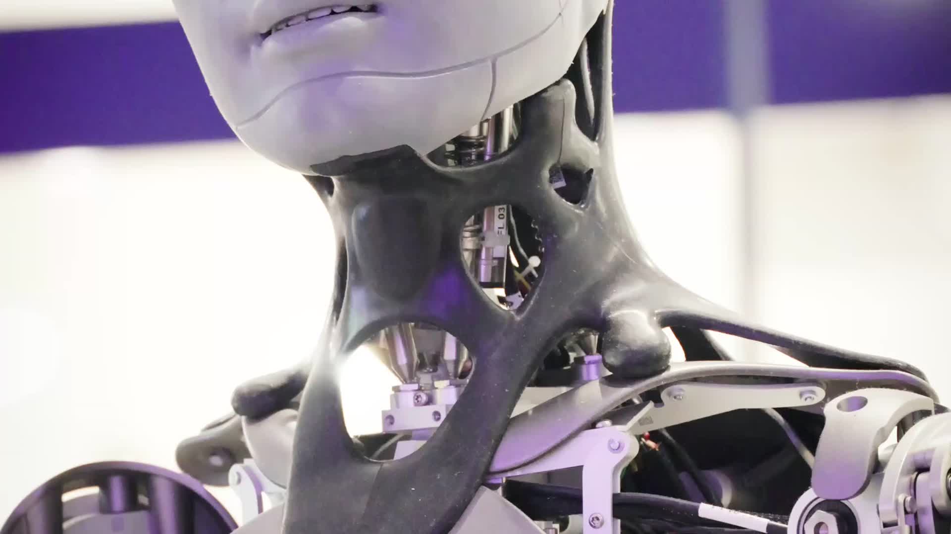 The VLA Revolution: One Brain for Every Robot
